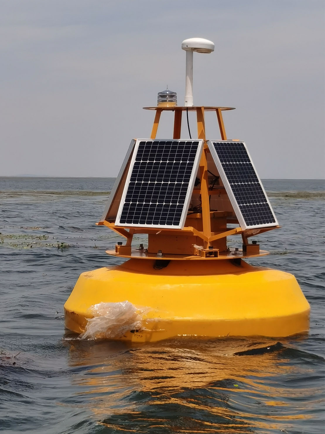 <b>ˮ���׵�Ԥ��ϵͳ</b>